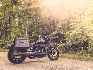 2018 Harley Low Rider with Pioneer Adventure Bags
