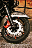 photo of left side of Bare Knuckle Performance CVO rotor mounted on front wheel 